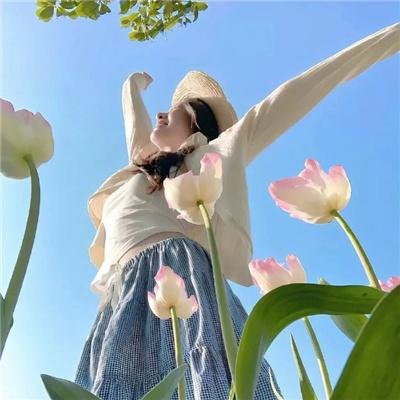 花系列:一